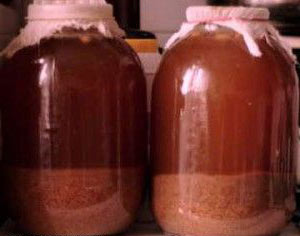 Удобрение из хлебных отходов Удобрение из хлебных отходов